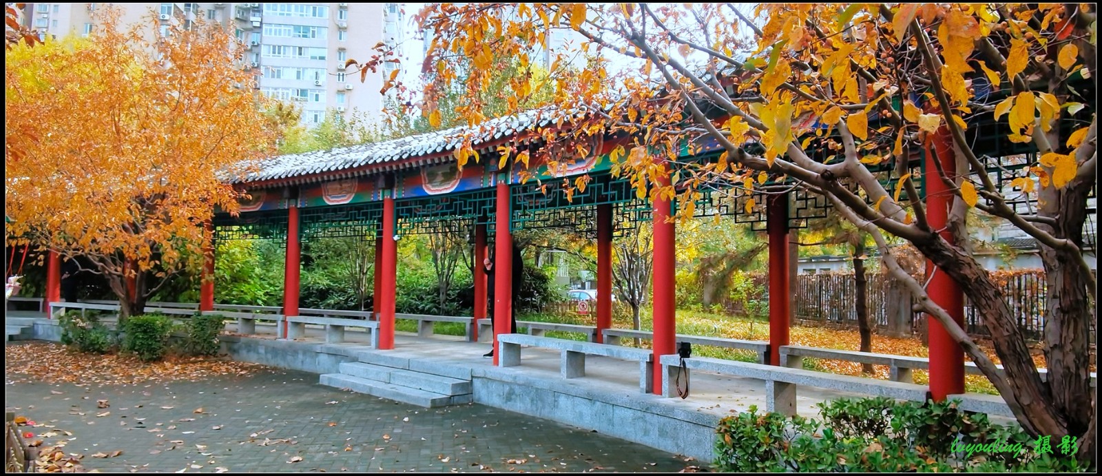 北海公园秋景儿采风活动